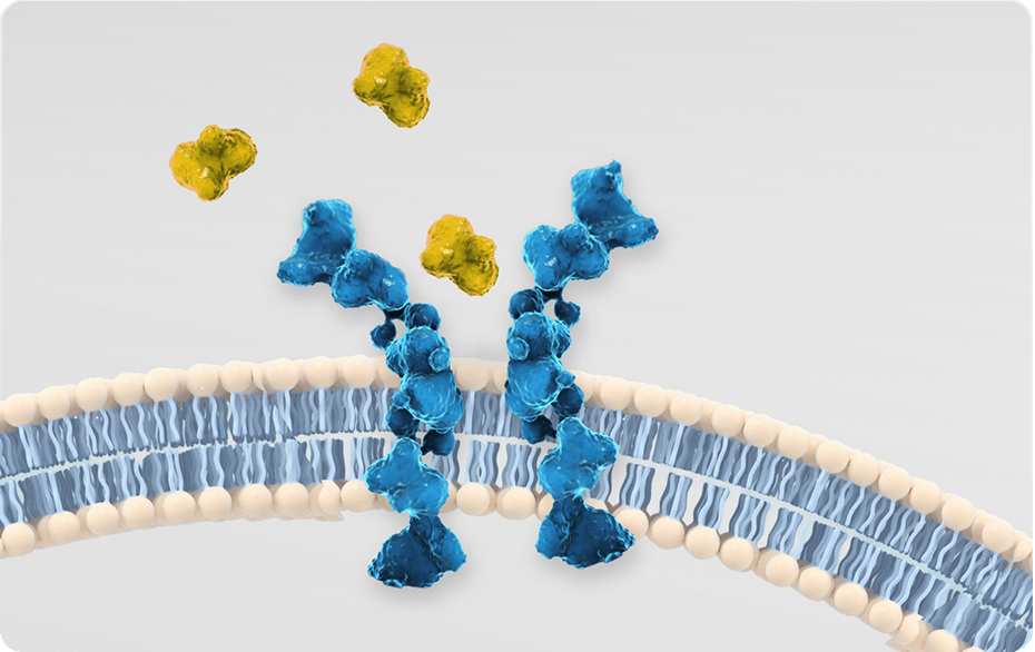Image showing the impact of achondroplasia